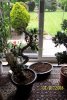 100_0432.JPG