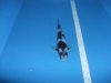 shiroA.JPG