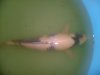 unsere paddler 020.jpg