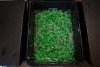 Eco Pondchips.jpg