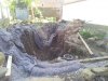 20130518_150840.jpg