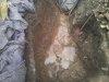 20130507_195255.jpg