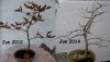 BucheJan2014_800x450.JPG