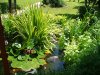 unser teich im juni 2012.jpg