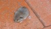 IlumixA (2)_800x450.JPG