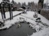 unser teich januar 2014 006.jpg
