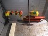 Foto 4.JPG