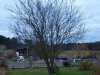 P2074333.jpg
