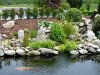 Teich Mai 2012 024.JPG