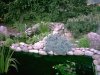 Teich Mai 2011 014.JPG