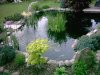 Teich Mai 2011 008.JPG