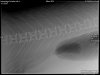 AB990006.original.jpg