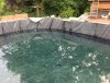 IMG_3413.jpg