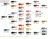 genetree.gif