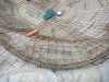 k-IMG_0185.JPG