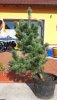 IMG-20140416-WA0011.jpg