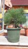 IMG-20140416-WA0005.jpg