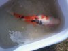 20140413_100921.jpg