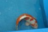 DSC06466.JPG