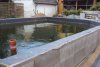 Ostern Teich 6 2014.jpg