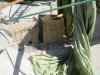 k-IMG_0212.JPG