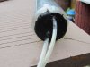a-algen und flasche 003.jpg
