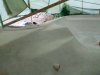 k-IMG_0287.JPG