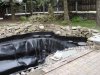 DSC03514.jpg