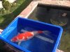 IMG-20140511-WA0000.jpg