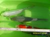 SD530498.JPG