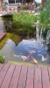 IMG-20140611-WA0029.jpg