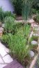 IMG-20140611-WA0026.jpg