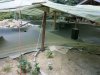 k-IMG_0408.JPG