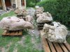 k-IMG_0439.JPG