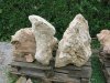 k-IMG_0437.JPG