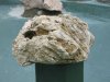 k-IMG_0448.JPG