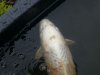 IMG-20140630-WA0004.jpg