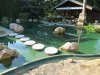 k-IMG_0482.JPG