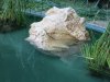 k-IMG_0491.JPG