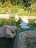 k-IMG_0493.JPG