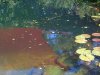 IMG-20140704-00760.jpg