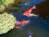 IMG-20140704-00763.jpg