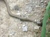 k-IMG_0511.JPG