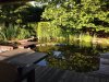 teich.jpg