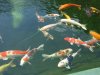 k-IMG_0681.JPG