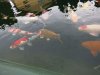 k-IMG_0665.JPG