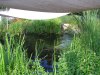 Pic_0043.jpg