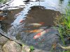 Pic_0026.jpg