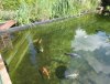 DSC03216.JPG