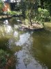 20140607_152923_1.jpg